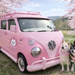 かぼすちゃんとおさんぽ。