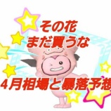 『その花、まだ買うな。4月相場と暴落予想』の画像