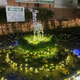 ¡ØËÜÆü¡Ê12·î13Æü¡Ë17»þ¤Ë¸ÍÅıØÅì¸ý±ØÁ°²ÖÃÅÀßÃ֤ΥȥÀ¥¤¥ë¥ß¤¬ÅÀÅô¤·¤Þ¤¹¡£ÅÀÅô¤ÏÎáÏÂ8ǯ2·î28Æü¤Þ¤Ç¡£ÅÀÅô¼°¤Ï̵¤¤¤Ç¤¹¤¬¡¢17»þÁ°¤«¤é¥È¥À¥¤¥ë¥ß¤ÎInstagram¤Ê¤É¤Ç¥é¥¤¥ÖÇÛ¿®¤·¤Þ¤¹¡£¡Ù¤Î²èÁü