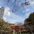 ★☆校外学習 in 東山動植物園☆★