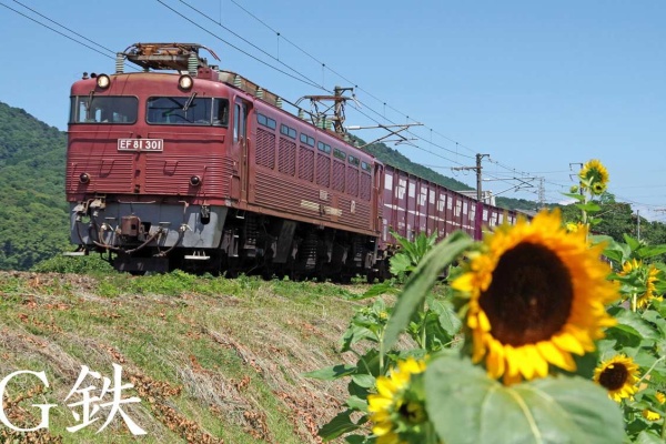写真集『日本の鉄』 G鉄グラフィティ - 4075レを撮る