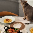 本場イタリア風のカルボナーラと豚ナス巻きグリルとかの夜ごはん