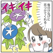 植物って癒し…ですね…