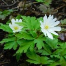 友達に宗教の勧誘をされたら。