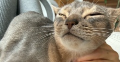 わか坊も、抱っこマン