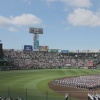 【高校野球】2部制拡大で熱中症疑い「24→16」に減少　途中交代も12件→3件