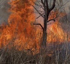 自然環境にダイナミクスを！