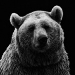 ヒグマいるのに登山するやつwww