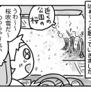 今年の桜は今年だけ