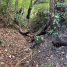 立石越ハイキング道　四阿