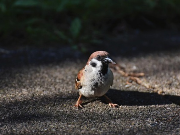 【宇宙】宇宙に「終わり」はあるのか？ その答えが見えてきた