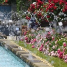 『Askar FMA135による横浜の風景①～山手イタリア山公園編　2024/06/07』の画像