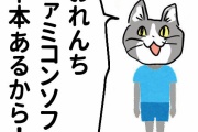 【小学校時代】「俺ゲームソフト1000本持ってる！」←こういう嘘つくやつ