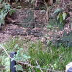 oryzasativa　自転車ウロウロ記