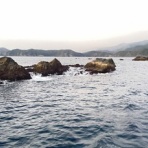 くろはえまるのblog