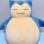 北海道大学体育会水泳部 練習日誌