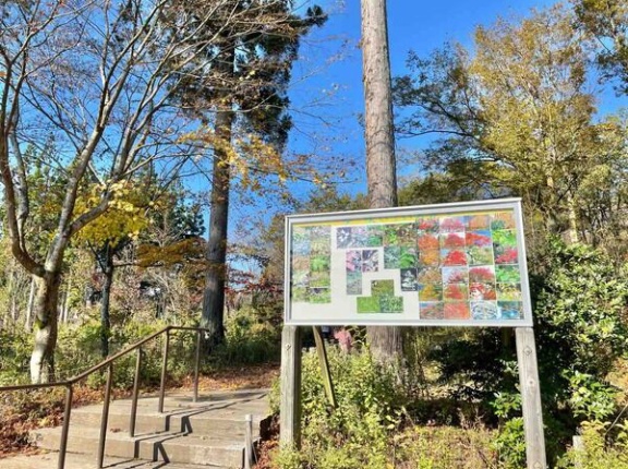 きのこ汁プレゼントに無料入園券も！『雪国植物園』で『雪国植物園 秋まつり』開催。10月25日～11月15日。