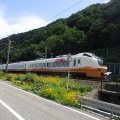 笹川流れポタリング