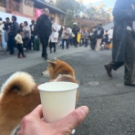 life with ranran & lili