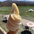 ■🍦『清泉寮ファームショップ』清泉寮のソフトを“並ばず”楽しむならここ！八ヶ岳の絶景と遊具も魅力の