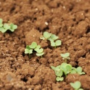 いやいや　今日は忙しぞぅ・・・