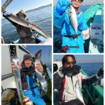 新安浦港・長谷川丸釣果