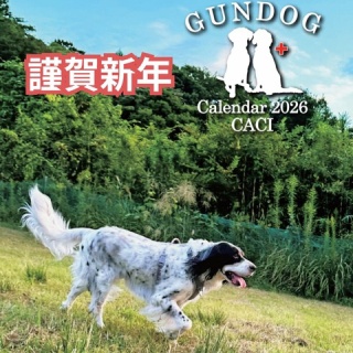 GUNDOG RESCUE CACI 活動ブログ