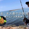 【7.26明石のキス釣り】普通に釣れば釣れるけど…夏のピリ辛南蛮漬け