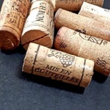 『【さけダイアリー】4月3日~4月9日 今週の予定』の画像