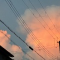 八月は病気ばっかり💦