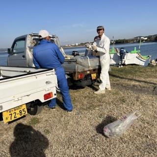 YAMAのつぶやき（やまのつぶやき）～マナティーズ～