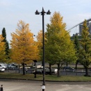 マラソンの季節到来