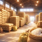 【速報】コメ生産・流通コスト2816円/5Kg、政府が認定ｗｗｗｗｗｗｗｗｗ