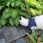 ai‘s　Beautician　Blog