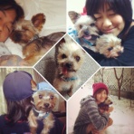 Ｒａｎｄｙのひとりごと