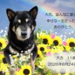 ペットセレモニーベル天国の天使達