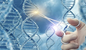 遺伝子操作による蚊の減少実験が失敗、副産物として「不死身の蚊」が誕生?