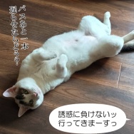 昨日寒くてビックリした！と、キラキラしずく作りました。