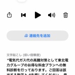 詐欺師たちの夕べ