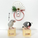 ２０２６年あけましておめでとうございます