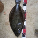 こんな日もある