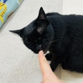 M.Yさんのお当番日記『本日も子守りデー』。