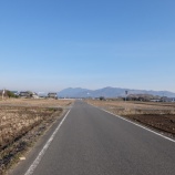 『筑波梅林 梅まつり』の画像