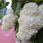 DUALVIEW 白金店ブログ