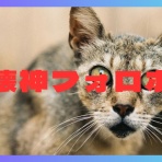 ドラクエ10盲目信者の秘密基地