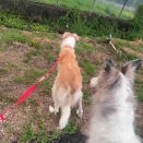 猫友に相手してもらえず(^^;)