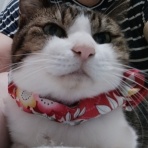つきもな日記