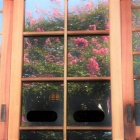 『残暑の紅　２』の画像