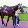 「馬主になったらモテるよ」「マジで？馬主なるわ！」　→　本当に馬主になった男さん、ガチでモテまくって無双してしまう！これはｗｗｗｗ