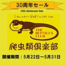 ハチクラ周年祭！くじ引き＆特価用品